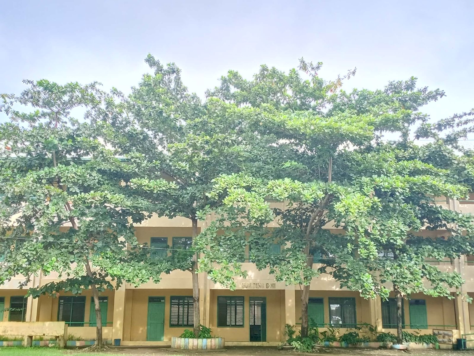 Senior High School Building